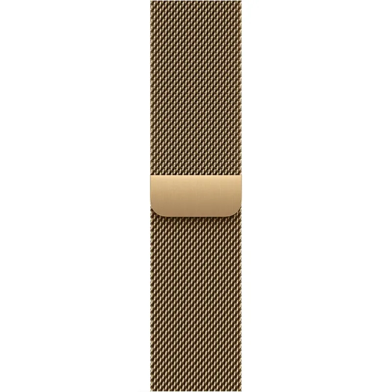 AW S12 Gold 42mm Sport Band M/L — фото 5