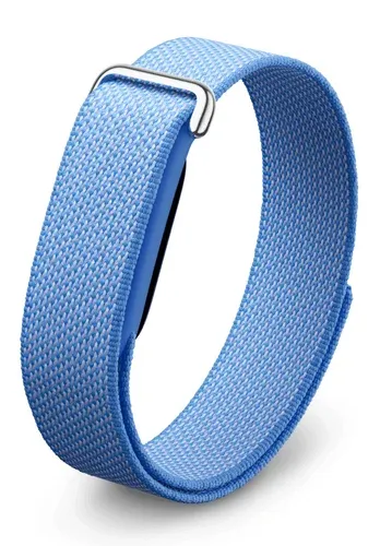 Google Fitbit Air